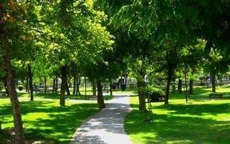 Οι χώροι πρασίνου στις πόλεις βελτιώνουν την ψυχική υγεία των κατοίκων