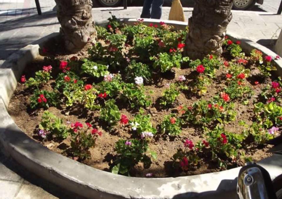 13418870_10209546754283690_4873027629267005996_n