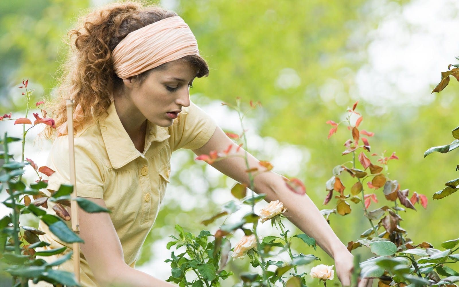 Человек ухаживающий за женщиной. Девушка выращивает цветы. Женщина садовник. Женщина сажает цветы. Садовник в саду с женщиной.