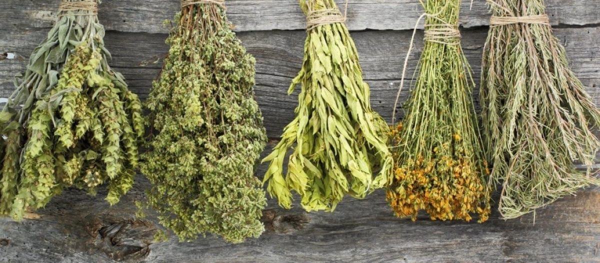 Ουρικό οξύ βότανα