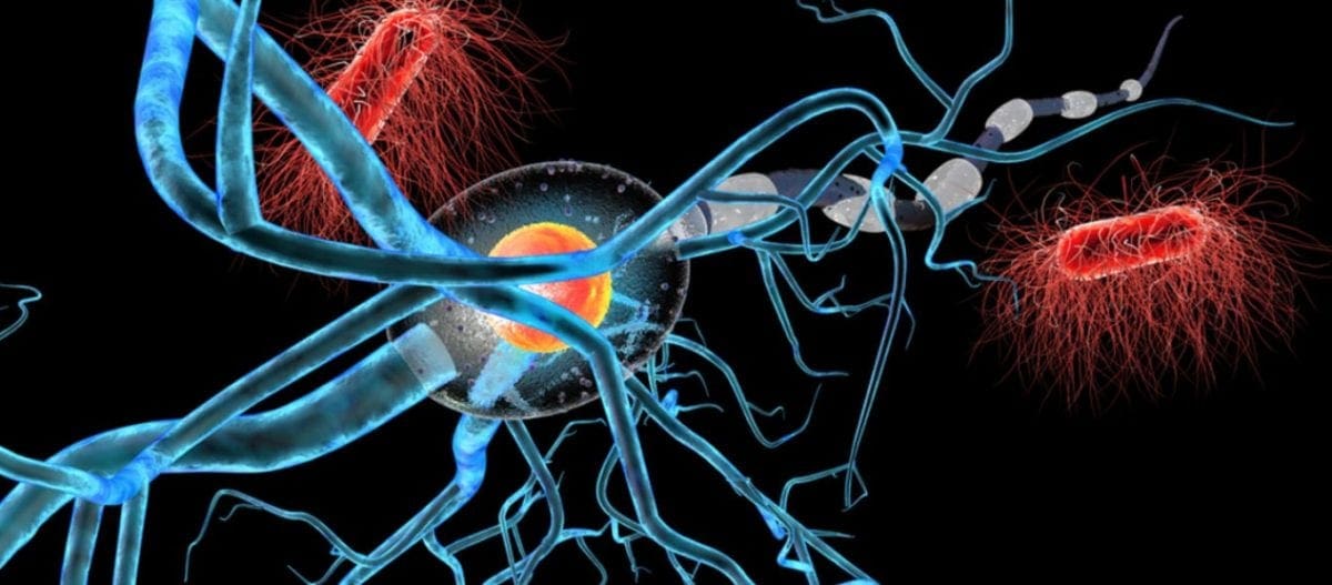 Καρκίνος του προστάτη