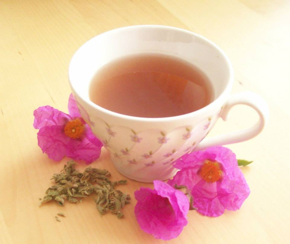 Τσάι Κίστου