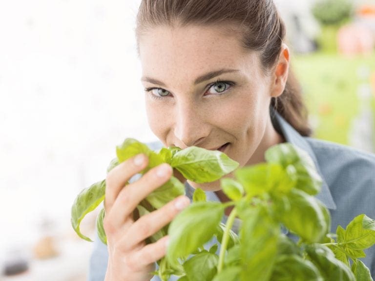 οφέλη του βασιλικού