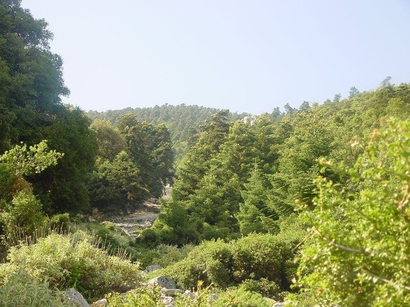 Περιπατητική δράση γνωριμίας του νησιού μας απο τα Λάερμα στο Ασκληπειό