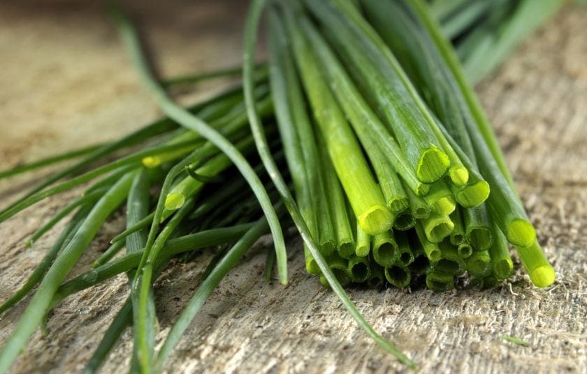 σχοινόπρασο