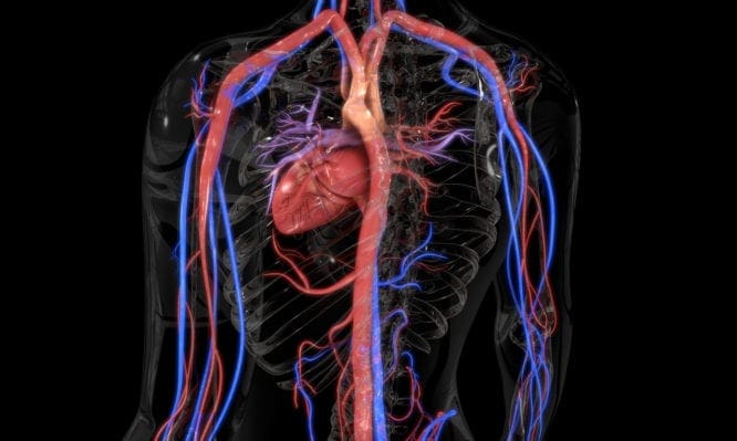 Αγγειίτιδα