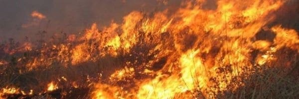 Αντιπυρική Περίοδος 2019 – Μέτρα πρόληψης – Αποφυγή επικίν-δυνων ενεργειών πρόκλησης πυρκαγιών- Μέτρα προστασίας