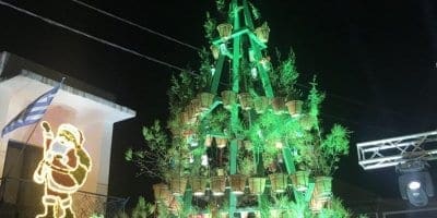 Καλυθιές : Ένα Χριστουγεννιάτικο δέντρο διαφορετικό από όλα τα άλλα