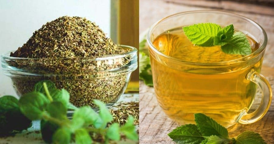 Τσάι ρίγανης